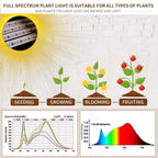 bseah Grow Light Plant Lights for Indoor Plants, Full Spectrum Led Growing Lamp with 3/9/12H Timer, Auto ON & Off, 10 Dimmable Lightness Clip-On Desk