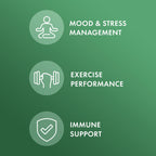 Dr. Mercola Organic Rhodiola Extract - Adaptogenic Support - USDA Organic - Nervous System & Energy Support - Golden Root Herb Supplement - 30 Capsules