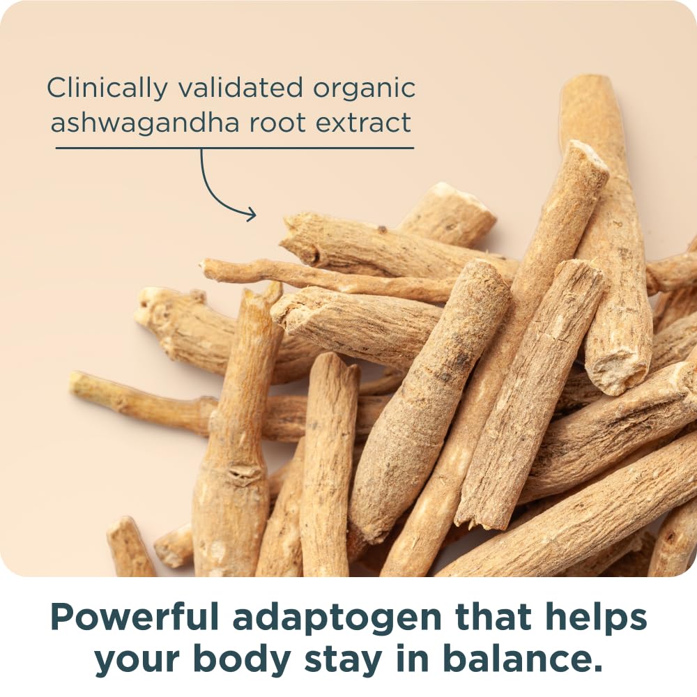 Ancient Nutrition Women’s 50+ Multivitamin with Ashwagandha – Menopause Support for Hot Flashes, Sleep, Mood, Energy & Hormonal Balance – 21 Vitamins & Minerals – 30 Servings