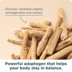 Ancient Nutrition Women’s 50+ Multivitamin with Ashwagandha – Menopause Support for Hot Flashes, Sleep, Mood, Energy & Hormonal Balance – 21 Vitamins & Minerals – 30 Servings