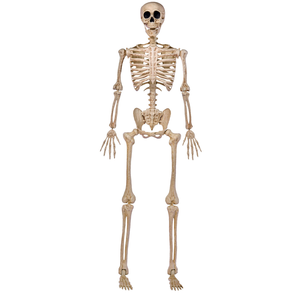 JOYIN 5 FT Halloween Skeleton Life Size, Stayable Posable Skeleton Decor, Full Body Movable Joints Giant Skeletons for Halloween Decoration Outdoor, Haunted House Prop, Spooky Scary Graveyard Party