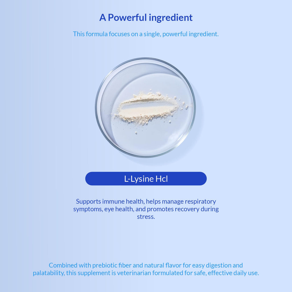 L-Lysine Supplement for Cats 900mg/scoop - Cat Supplement for Sneezing and Runny Nose, Cold, Immune Support, Eye Function, and Respiratory Health – Lysine Powder