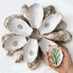 VMEECARL 30Pcs 4"-5" Concave Oyster Shells for Crafts Natural Large Oyster Shells for DIY Crafting Christmas Ornaments Decoupage Beach Decor Arts and Bulk Clam Shells Sea Shells for Crafts