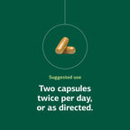 Standard Process Regeneplex - Skin Health Supplement with Vitamin C & Zinc - Supports Cellular Function - Gluten-Free - 90 Capsules (45 Servings)