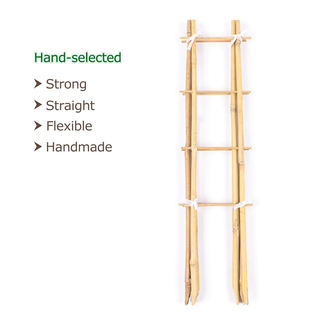 Cambaverd Indoor Plant Trellis, 24in Ladder-Shaped Bamboo Trellis 3 Pack