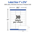 Avery Easy Peel Printable Address Labels with Sure Feed, 1" x 2-5/8" Customizable Stickers, White, 3,000 Blank Mailing Labels, Great for Mailing, Shipping, and More (5160)