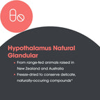 Allergy Research Group ARG Hypothalamus - Bovine Glandular Supplement - 500 mg Lyophilized Hypothalamus Tissue - Adrenal Balance & Endocrine Support - 100 Servings - 100 Vegicaps