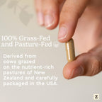 Zen Principle Grass Fed Beef Intestines with Stomach (Tripe) Supplement, Supports Digestive Health and Gut Balance, Supports Acid Reflux Balance, Natural Intestine Wellness, 210 Capsules