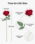 InnoGear Red Roses Artificial Flowers 50 Pcs Fake Velvet Silk Rose Floral