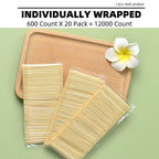 HOPELF Bamboo Toothpicks for Teeth Cleaning, Appetizer, Olive, Barbecue, Fruit, Double-Points Wooden Toothpick.12000 Count