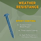LIONMAX Pocket Hole Screws 2-1/2 Inch, 300 PCS Exterior Pocket Screw #8 x 2-1/2", Coarse Thread, Square Drive, Washer Head, Blue Coated Weather Resistant, 150MM Drive Bit Included