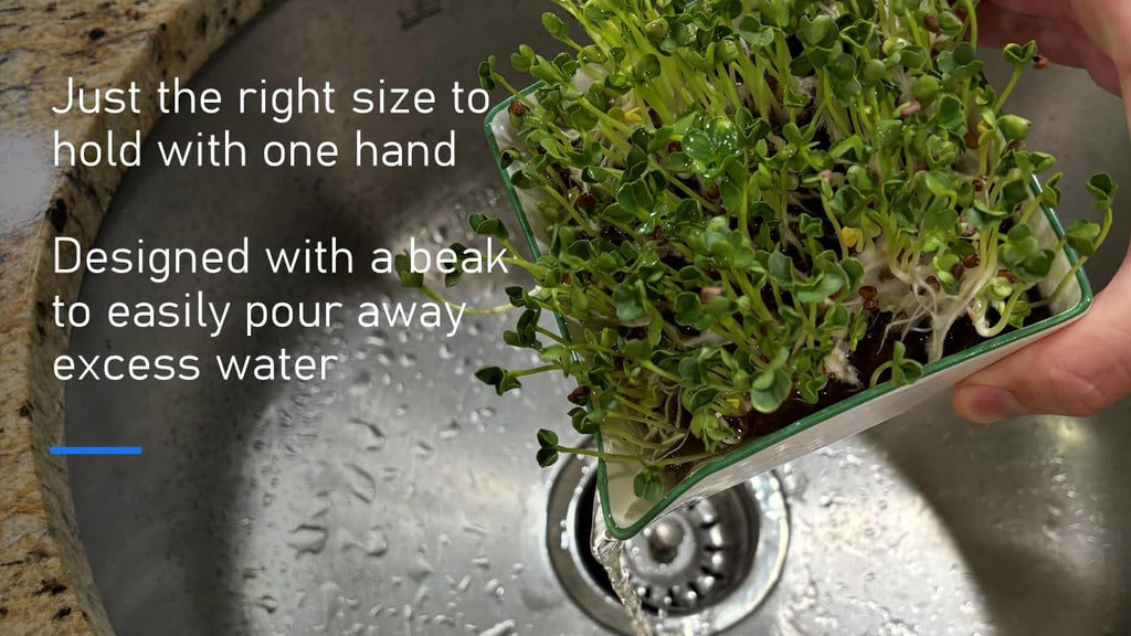 Microgreens Growing Kit. Easy-To-Use, Self-Watering. Includes Two Specially Designed Color-Coded Ceramic Trays With Matching Lids to Create an Optimal Cozy Microenvironment for Seeds; Mats, and a Tray