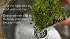 Microgreens Growing Kit. Easy-To-Use, Self-Watering. Includes Two Specially Designed Color-Coded Ceramic Trays With Matching Lids to Create an Optimal Cozy Microenvironment for Seeds; Mats, and a Tray