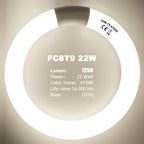 Celiwace FC8T9/CW 22W and FC12T9/CW 32W Cool White Set, 8 inch T9 22 Watts Circular Light Bulbs, 12 inch 32 Watts Circline Fluorescent Bulb Round Ring Bulb CRI 80, G10q Prong
