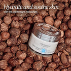 L’OCCITANE Shea Light Comforting Face Cream, 1.7 Fl. Oz: Non-Comedogenic, Lightweight Moisturizer, Soothe Skin, Hydrating, With 5% Organic Shea