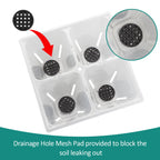 RooTrimmer 40 Pack Reusable 4-Cell Seed Starter Trays with Large Drainage Holes - Clear Transparent Trays for Root Growth Monitoring, Avoids Overwatering, Easy Transplant, Fits Standard 1020 Trays