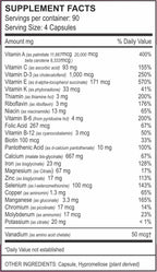 Vita4Life!® Multi-Standard Formula • Complete Vitamin & Mineral Complex • 360-Capsules • Fast-Dissolve Veggie Caps • No Fillers, GMO, Gluten, Dairy • 50+ Nutrients (A-Zinc)