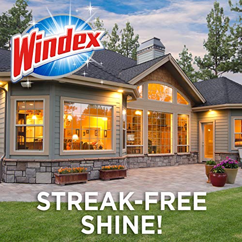 Windex Outdoor All-in-One Glass Cleaning Tool Refill Pads, 2 ct