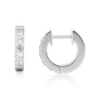 Limerencia Hypoallergenic Implant Grade Titanium Huggie Hoop Earrings