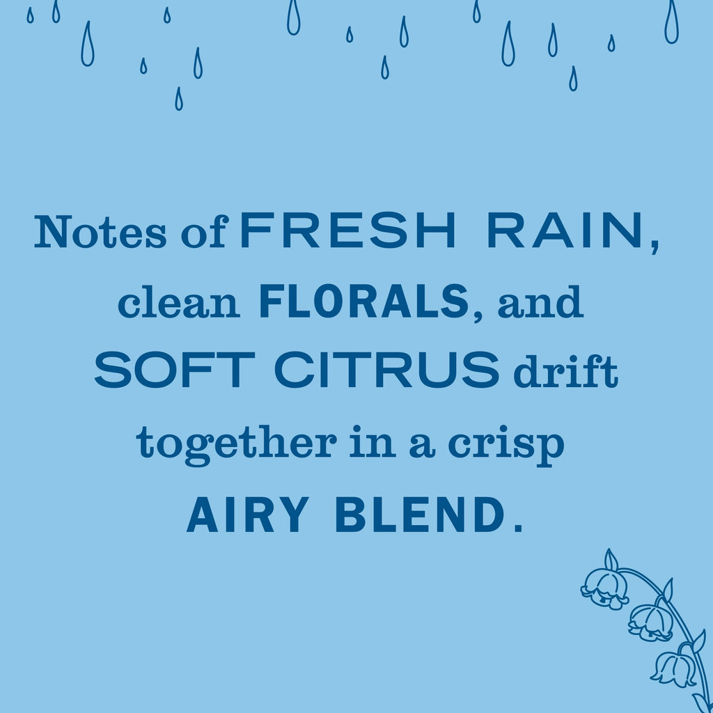 MRS. MEYER'S CLEAN DAY Scented Oil Refills, Rain Water, contains 2 .67 fl oz refills