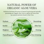 Aloderma 99% Organic Pure Aloe Vera Gel Made within 12 Hours of Harvest, 17.6oz Value Pump, Lightweight Non-Sticky Aloe Vera Gel for Sunburn Relief, Natural, Soothing Aloe Vera for Face & Hair