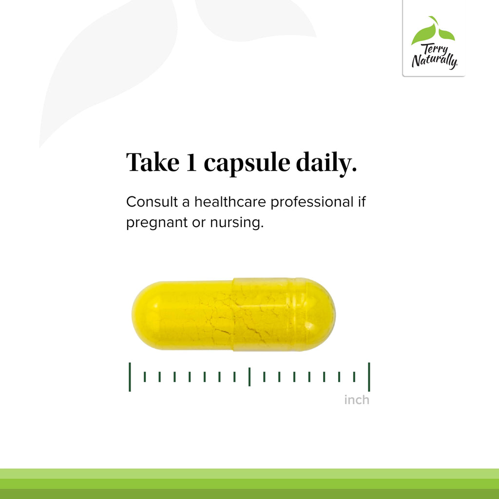 Berberine MetX, Ultra Absorption, 60 Capsules by Terry Naturally