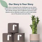 Reel Premium Bamboo Toilet Paper - 12 Rolls of Toilet Paper - 3-Ply Made From Tree-Free - Zero Plastic Packaging, Septic Safe