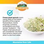 Vita-Sprout Whole-Food Multivitamin & Phytonutrient Blend, 120 Capsules