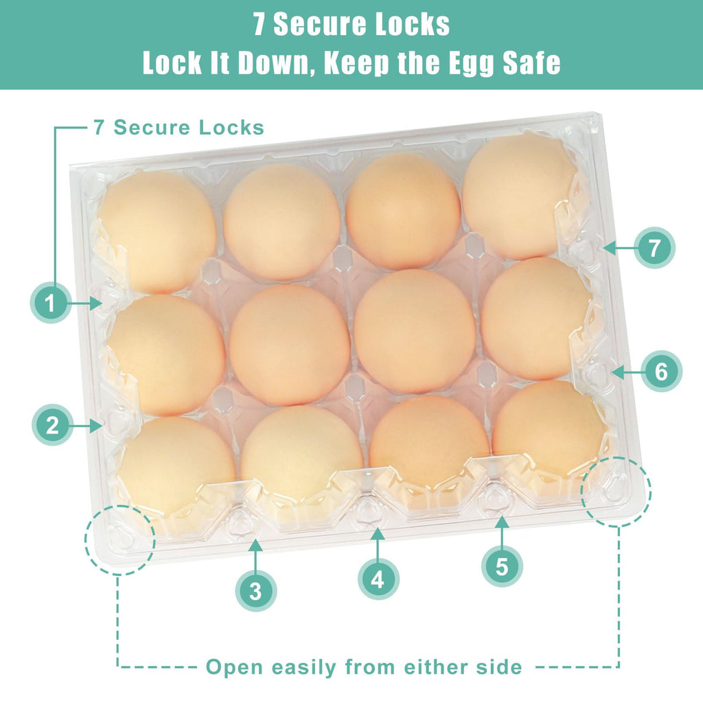 SINLUCESCE 100 Packs Egg Cartons Cheap Bulk，Plastic for 12 Eggs, Clear Egg Cartons 3 * 4 Grids，Perfect for Refrigerator Chicken Farm Markets Commercial Business Market Display