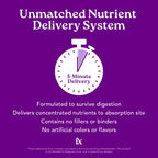Isotonix OPC-3 Antioxidant Supplement - Pycnogenol, Grape Seed Extracts, Bilberry, Red Wine & Pine Bark Extracts - for Heart & Circulatory Support - Isotonic, Vegan, Gluten Free - 30 Servings