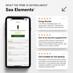 Upful Blends® Sea Elements | Ultimate Sea Veggie Multivitamin | Irish Moss, Kelp, Wakame, Dulse | Supports Skin, Gut Health, and Brain Function | Natural, Vegan, Non-GMO (80 ct)
