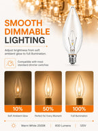 MEQIQTEK E12 60 Watt Incandescent Candle Light Bulbs, Chandelier Light Bulbs for Ceiling Fan, Vanity, Outdoor - Warm White 2500K, 600 Lumen Dimmable B10 Clear Candelabra Base Bulbs (12 Pack)