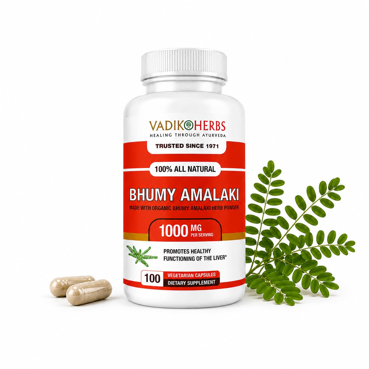 Vadik Herbs Organic Bhumy Amalaki, 100 Caps, Liver Support 1000mg