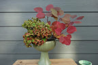 Floral Cage Arranger for Flowers l Bouquet Floral Cage l Pillow Floral Cage for Centerpieces and Vases l Sell in Set of 2 (6", Pillow) (334-96-07)
