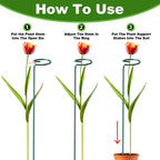 Fabulas 24 Pack Plant Support Stakes, 16 Inch Metal Garden Plant Stakes Single Stem Support Rings for Indoor Outdoor Amaryllis, Flowers Orchid, Lily, Peony, Rose, Tomato, Monstera, Narcissus