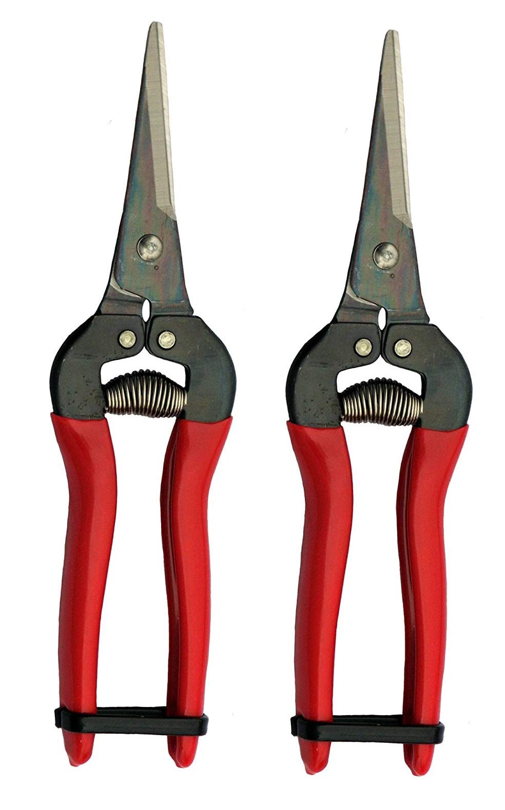 ARS HP-300L Needle Nose Fruit Pruners (2 Pack)