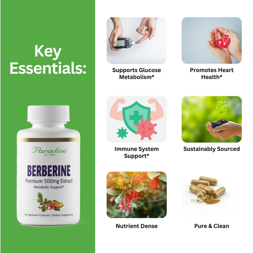 Paradise Herbs, Berberine Extract, 500 mg, Pure & Potent Berberine Supplement, Vegan, Non-GMO, Gluten Free, 60 Vegetarian Capsules