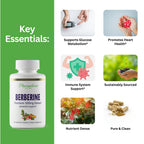 Paradise Herbs, Berberine Extract, 500 mg, Pure & Potent Berberine Supplement, Vegan, Non-GMO, Gluten Free, 60 Vegetarian Capsules