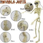 6PCS Skeleton Halloween Decorations, 16in Full Body Poseable Small Skeleton