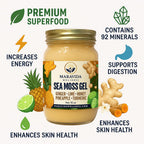 Maravida Wellness Sea Moss Gel – Pineapple, Lime, Honey, Ginger & Turmeric – 100% Natural Raw Organic Irish Moss – 16oz Jar – Premium Superfood for Everyday Wellness