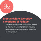 ARG Mitochondrial Cofactors - Delivers 300 mg Acetyl-L-Carnitine - Supports Mitochondrial Function & Cellular Energy - CoQ10, Vitamin B6 & Magnesium - 30 Servings - 90 Vegetarian Capsules