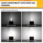 Hizashi E12 Candelabra LED Light Bulb 40 Watt Chandelier Light Bulbs Dimmable 5000K Daylight, B10 LED Candelabra Bulbs, 90+CRI, 4W, 450LM, Candle Light Bulbs, UL Listed, 12 Pack