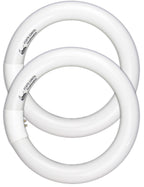 CHKADAWA Circular Bulb FC8T9/DL, 8 Inch T9 22W Circline Fluorescent Light Bulbs, Replacement Round Fluorescent Lamp Tube, Bright Daylight 6400K 1250 Lumens, G10q 4 Pin Base, 2 Pack
