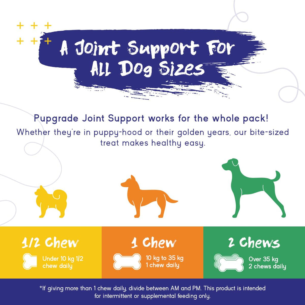 PupGrade Joint Support Supplement for Dogs - Natural Glucosamine Chondroitin with MSM - Supports joint and bone health - For young and senior dogs - 30 Chews