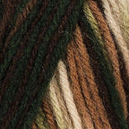 Red Heart Super Saver Woodsy E300-961 (3-Skeins - Same Dye Lot) Worsted Medium #4 Acrylic Yarn for Crocheting and Knitting with Project Bag