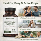 AMVILAB Proteolytic Enzymes | Trypsin & Chymotrypsin – Advanced Digestive Enzyme Supplement for Woman&Men - Digestive Enzymes for Protein Breakdown, Immune & Circulatory Health - 60 Capsules