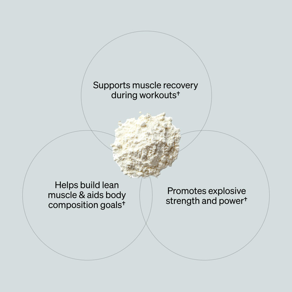 ONNIT Creatine Monohydrate Powder – Unflavored, 90-Serving Value Size – Supports Strength, Lean Muscle, and Brain Energy† – Keto Friendly, No Fillers, 90 Servings, 15.29 oz
