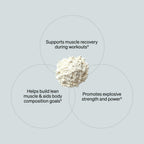 ONNIT Creatine Monohydrate Powder – Unflavored, 90-Serving Value Size – Supports Strength, Lean Muscle, and Brain Energy† – Keto Friendly, No Fillers, 90 Servings, 15.29 oz