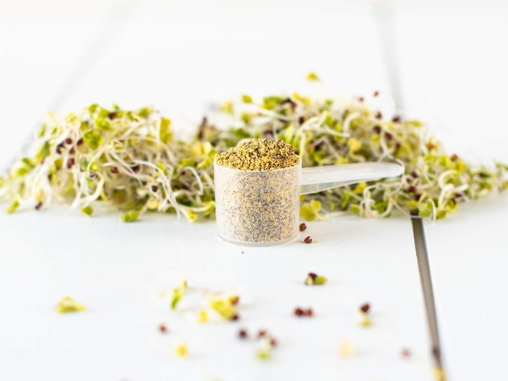 KOYAH - Organic USA Broccoli Sprout Powder (1 Scoop = 1/4 Cup Sprouts): 36 Servings, Freeze-Dried, Tested for Active Myrosinase and Glucoraphanin (Sulforaphane Glucosinolate)