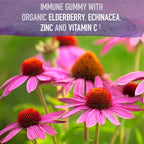 Garden of Life Immune Support Bundle: Organics Elderberry Echinacea, Zinc Gummies 120 Count + Dr Formulated Kids Probiotics Berry Cherry Shelf Stable 30ct + Kids Vitamin D3 Orange Gummies 60ct